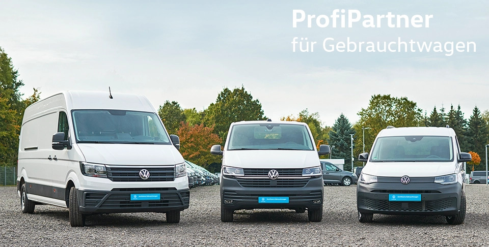 Drei unterschiedliche VW Gebrauchtwagen stehen auf einem Parkplatz